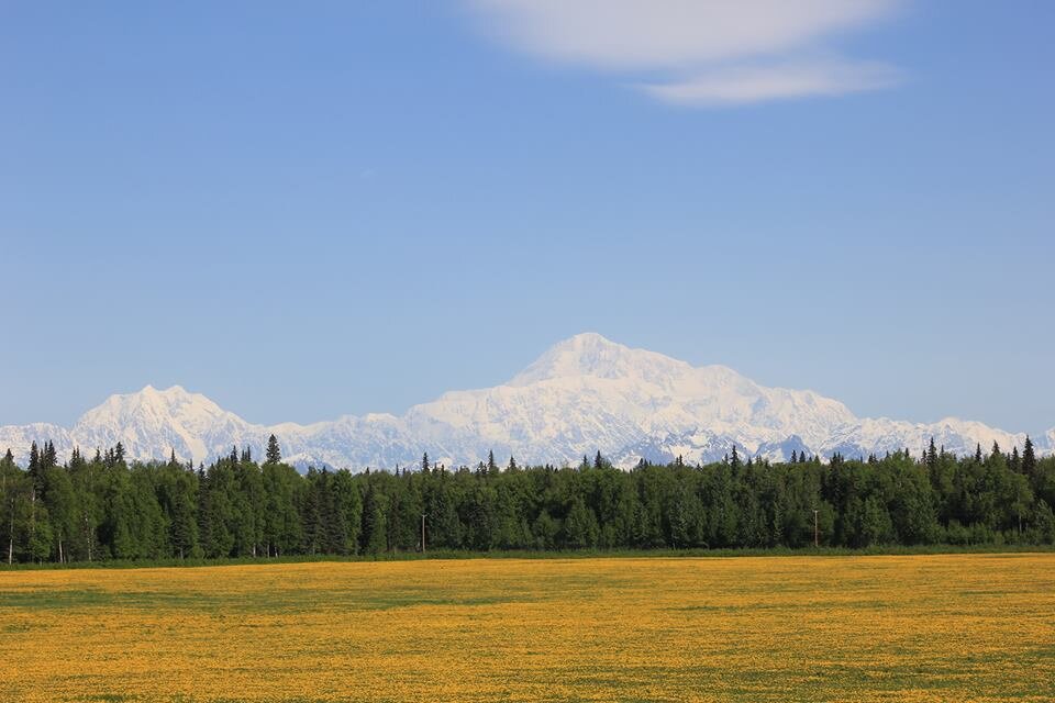 McKinley View B&B-官方
