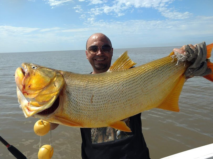 Delta Aventura-布宜诺斯艾利斯必去景点