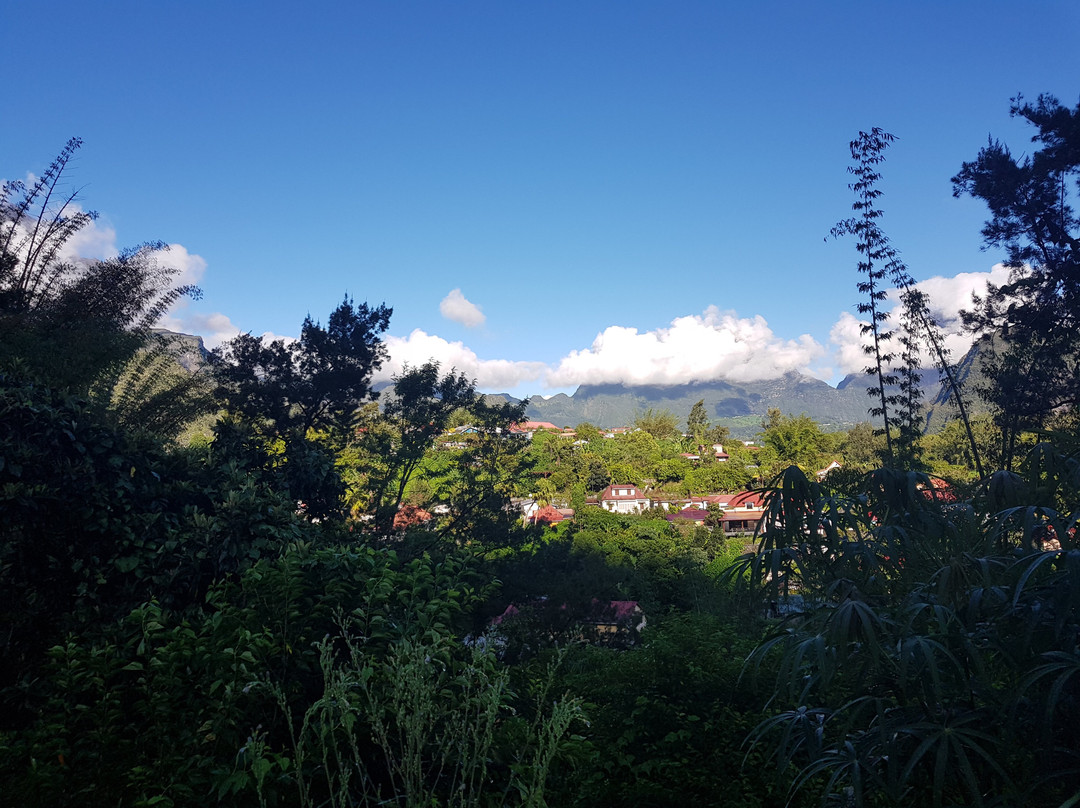 P'ti Blanc des O主图