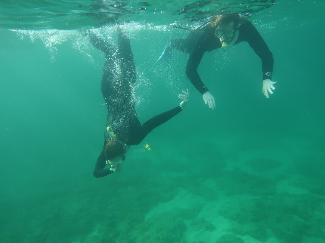 Private Scuba & Snorkeling-Palm Springs必去景点