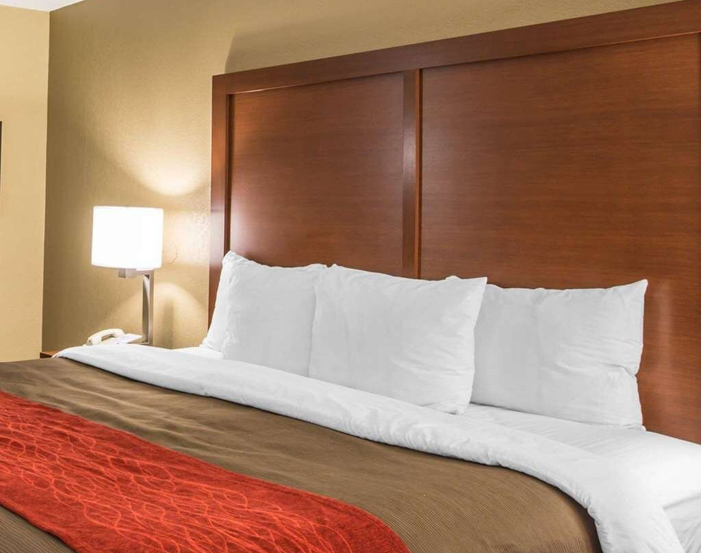 Comfort Inn Biltmore West主图