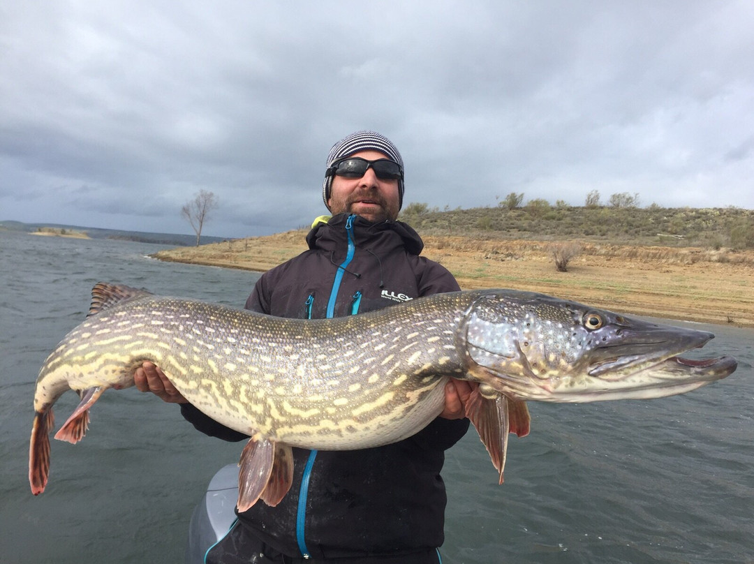 Extremadura Profishing景点图片