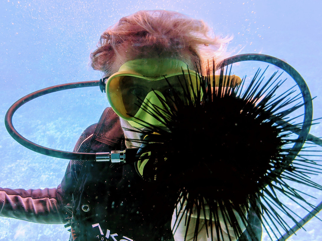 Reefdancer-拉海纳必去景点