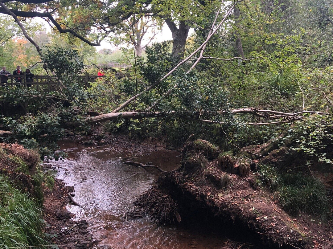 Poohsticks Bridge景点图片