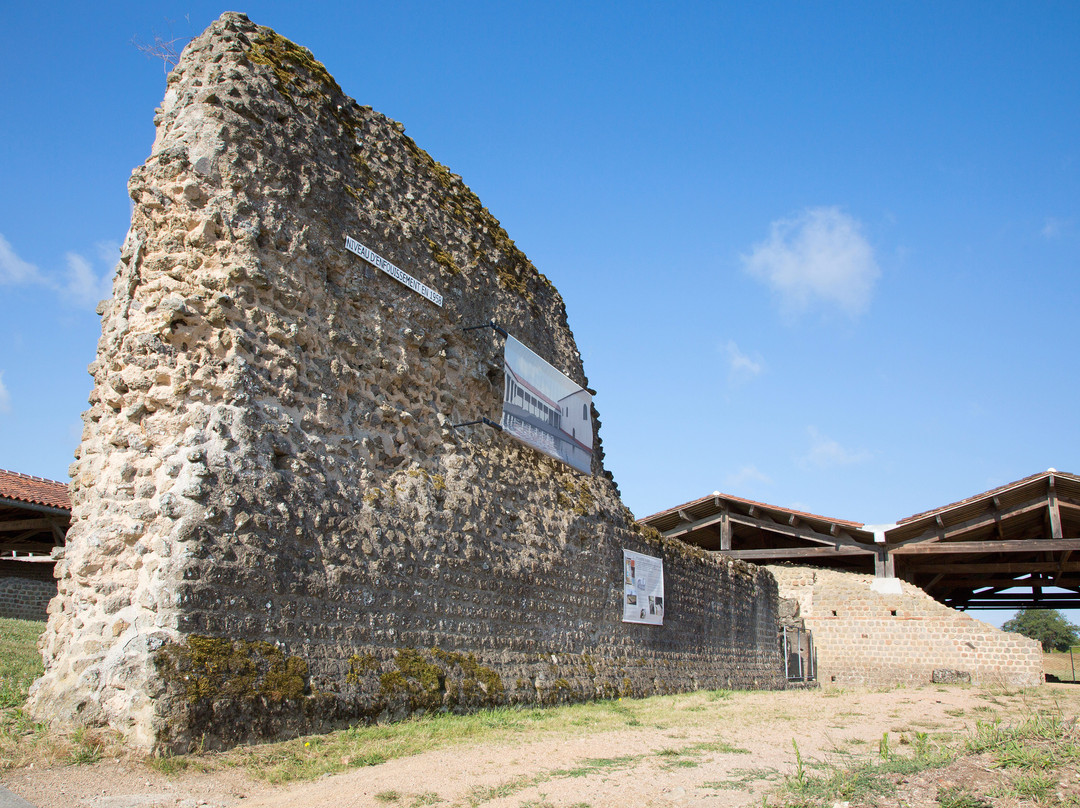 Cassinomagus - parc archéologique景点图片