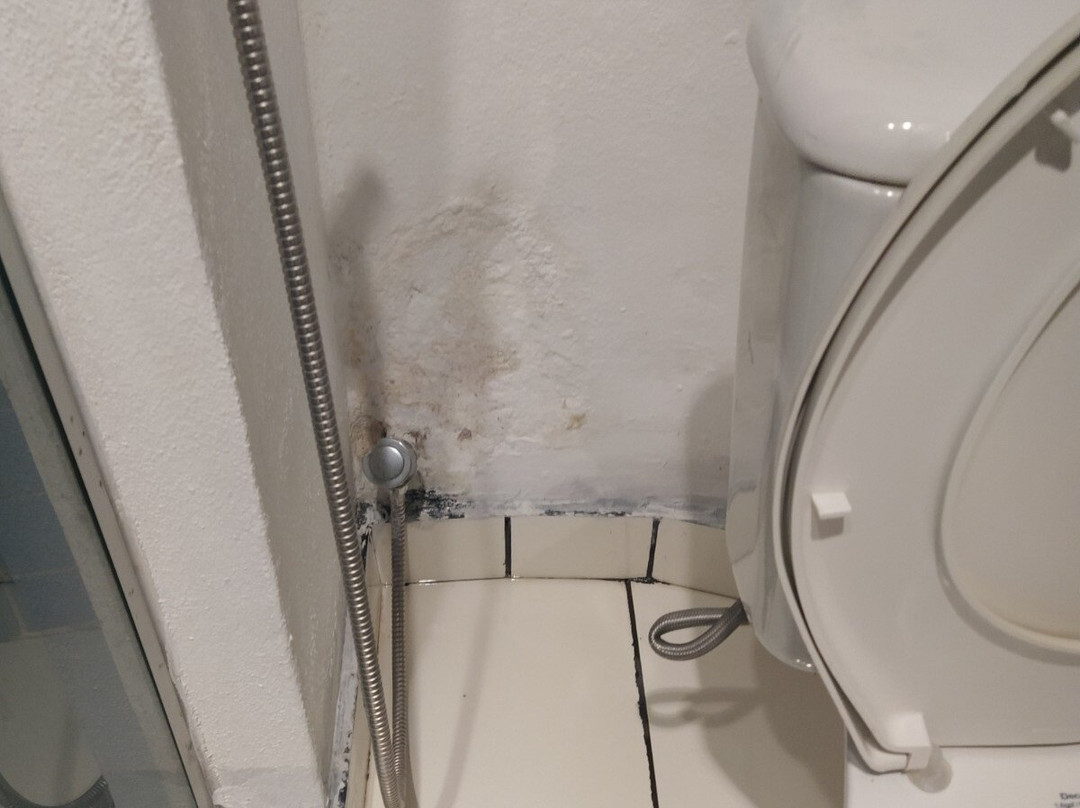 Espaco Naves Lunazen主图