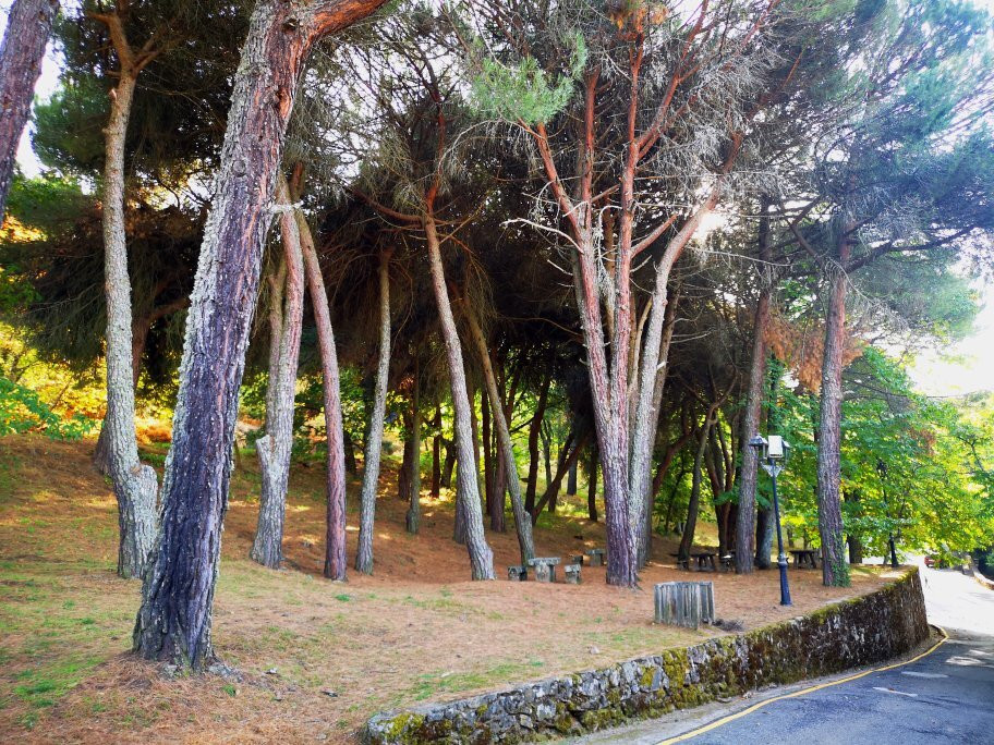 Santuario de Ntra. Sra. del Castanar景点图片