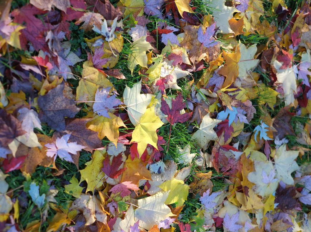 力推西部公园住宿酒店主图