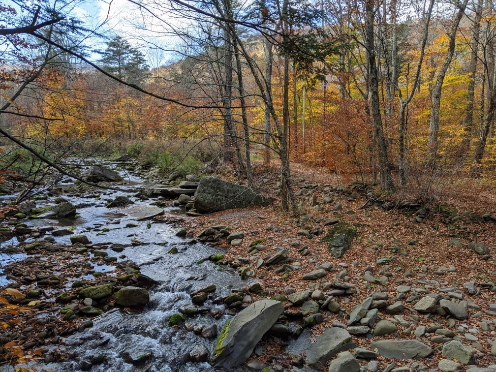 Woodland Valley State Park-Phoenicia必去景点