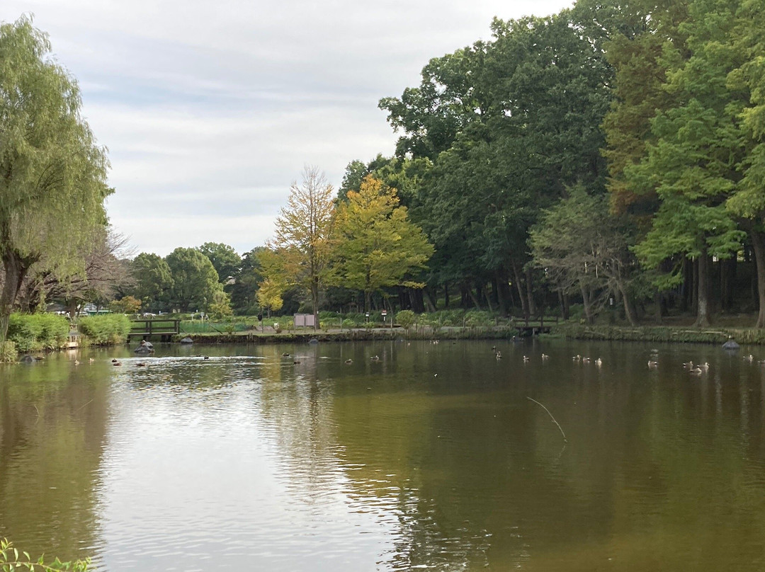 Ageo Maruyama Park-上尾市必去景点