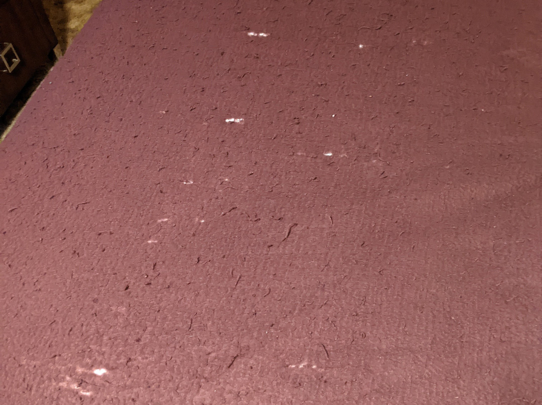 Oasis Botique Motel主图