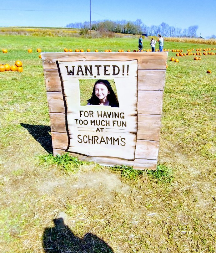 Schramm Farms & Orchards景点图片