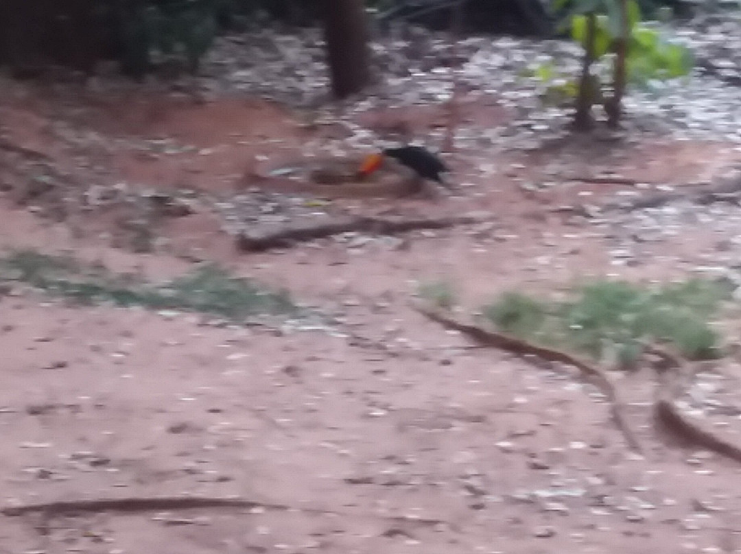 Parque dos Poderes-大坎普市必去景点