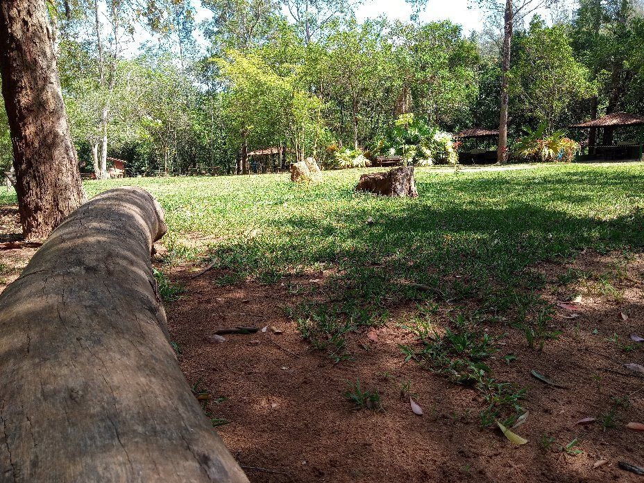 Parque Natural Chico Mendes-索罗卡巴必去景点