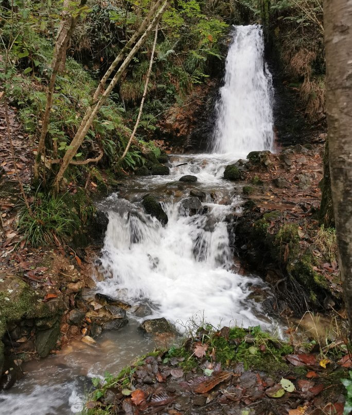 Ruta a la Cascada del Nonaya景点图片