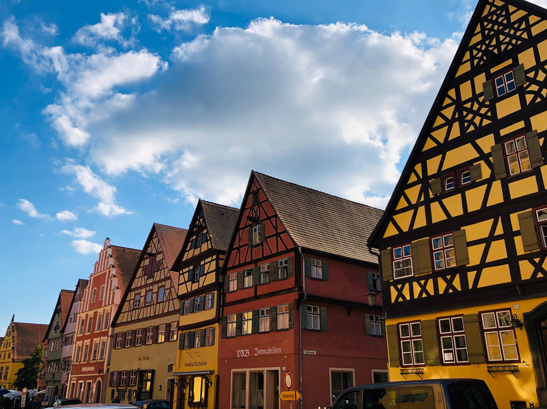 SCHIR Private Tours & Airport Transfers-阿姆斯特丹必去景点