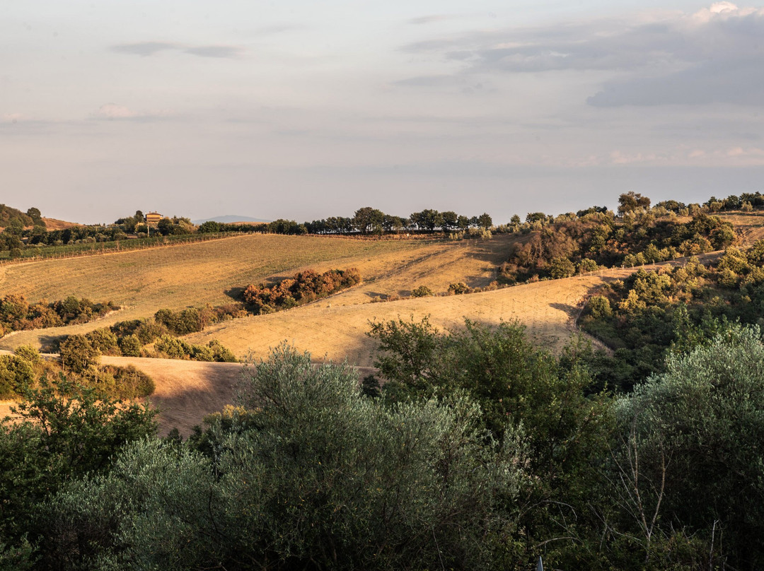 Poggio Paradiso Resort & Spa主图