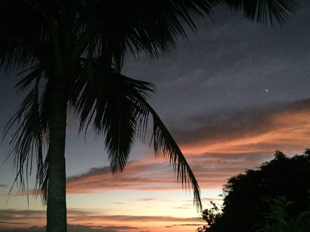 Las Sirenas de Santa Clara主图