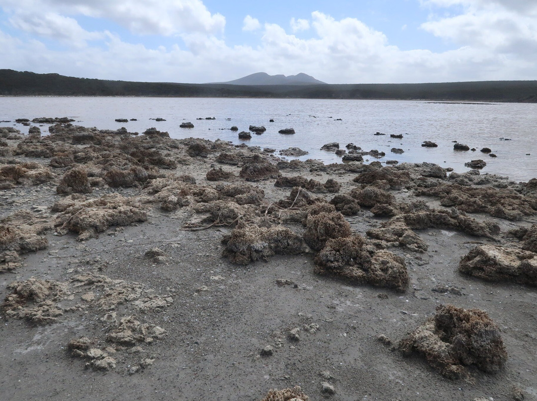 Hamersley Inlet-Hopetoun必去景点