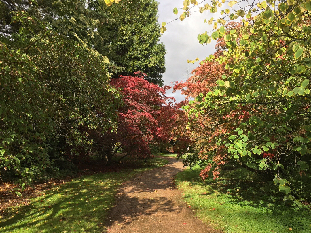 The University of Oxford Harcourt Arboretum景点图片