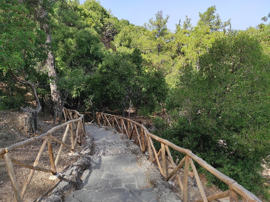 Butterfly Valley and Boat Cruise to the Island of Chalki-罗德斯必去景点