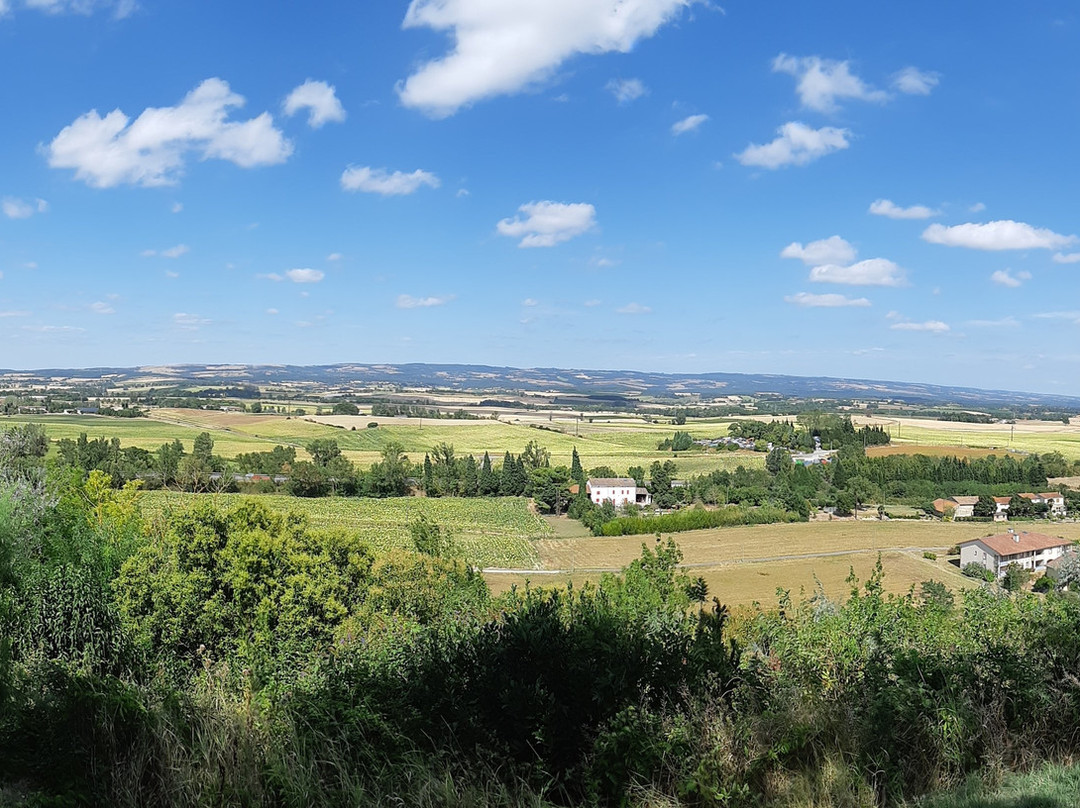 Moulin de Cugarel-Castelnaudary必去景点