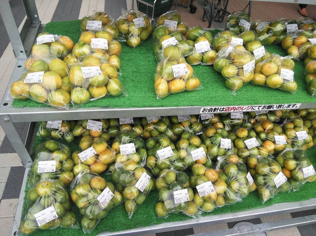 Michi no Eki Nambu景点图片