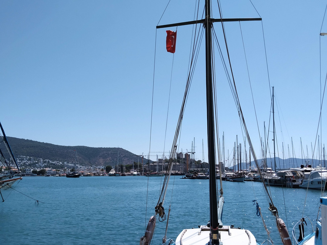 Milta Bodrum Marina景点图片