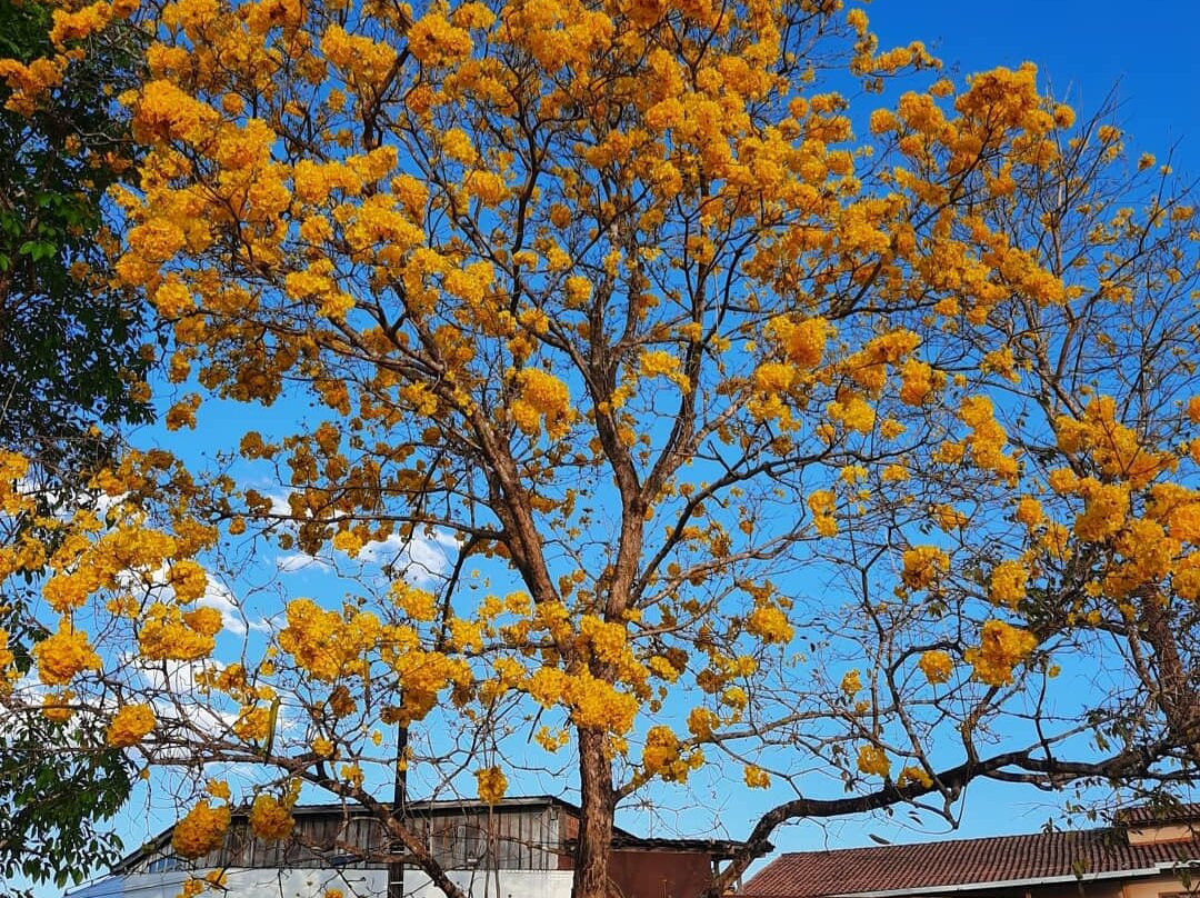 Juara旅游攻略图片