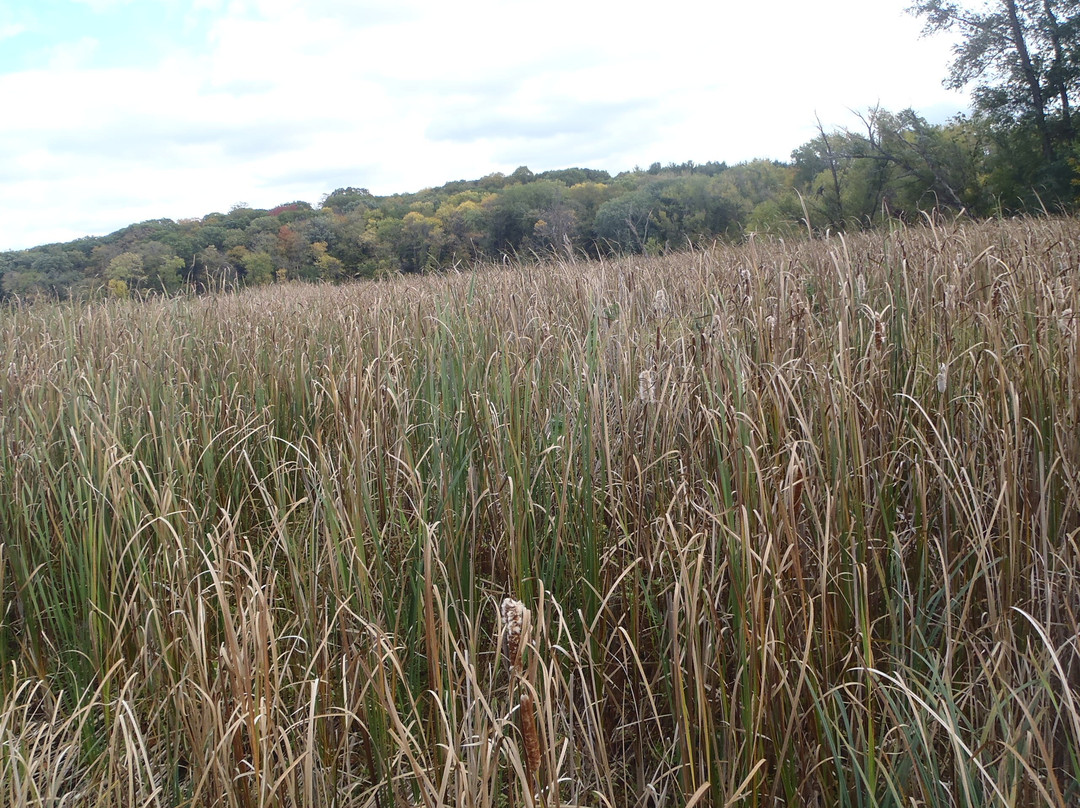 Westwood Hills Nature Reserve-Saint Louis Park必去景点