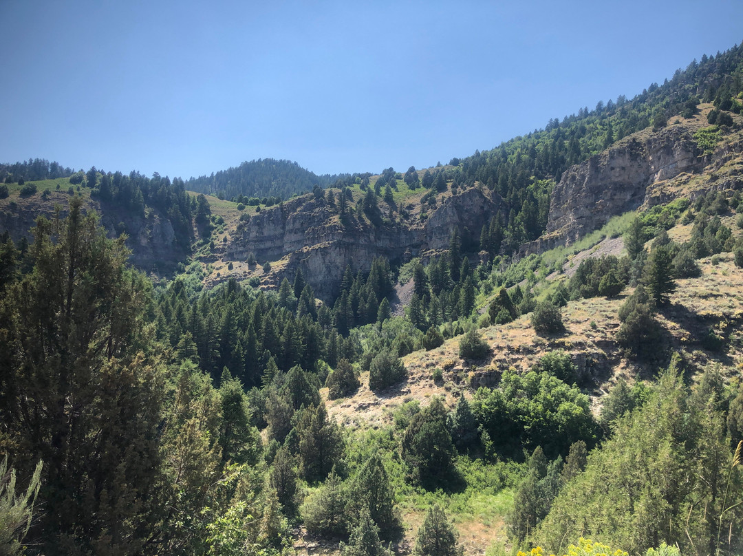 Logan Canyon Scenic Drive-洛根必去景点