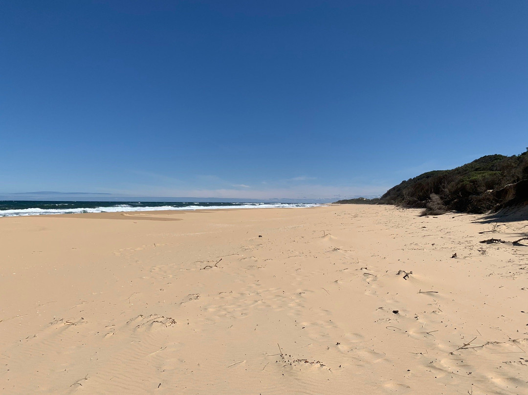 Point Ricardo Beach景点图片