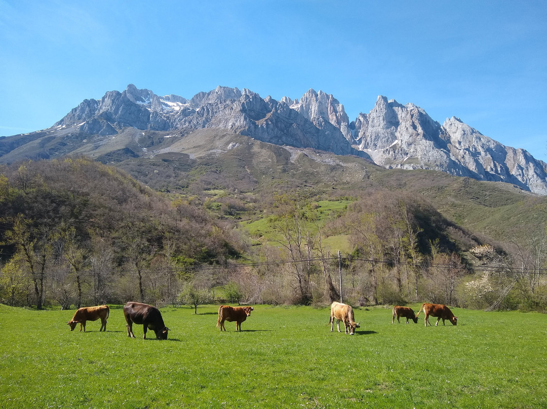 Hotel Cumbres Valdeon主图