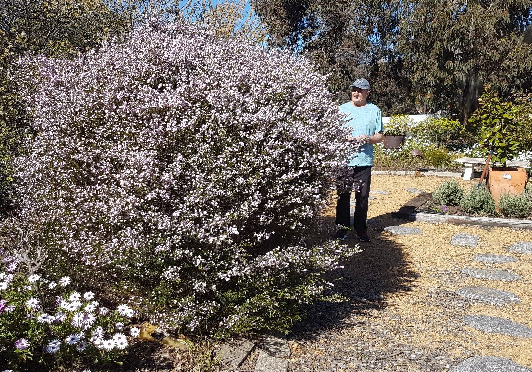 Yellow Gum Bed and Breakfast主图