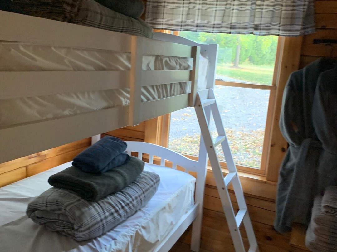 Finger Lakes Mill Creek Cabins主图