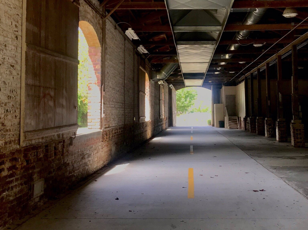 Spanish Moss Trail-博福特必去景点