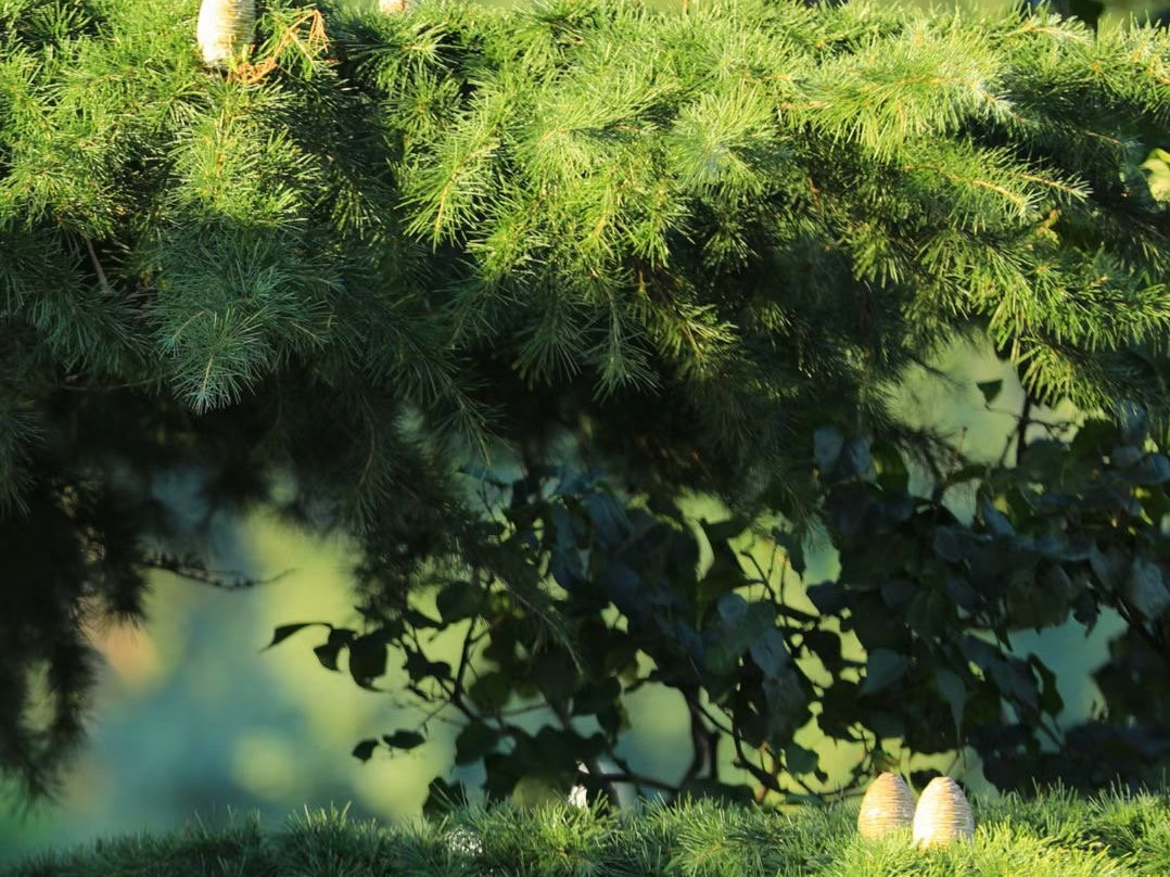 昆嵛山-烟台市必去景点