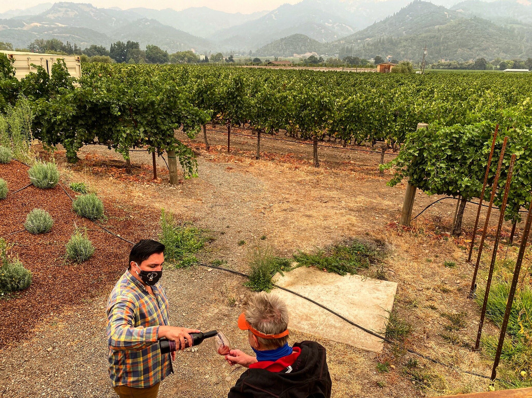 Madrigal Family Winery-卡利斯托加必去景点