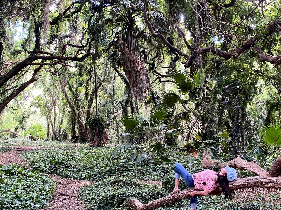 Makana Maui Adventures-怀露库必去景点