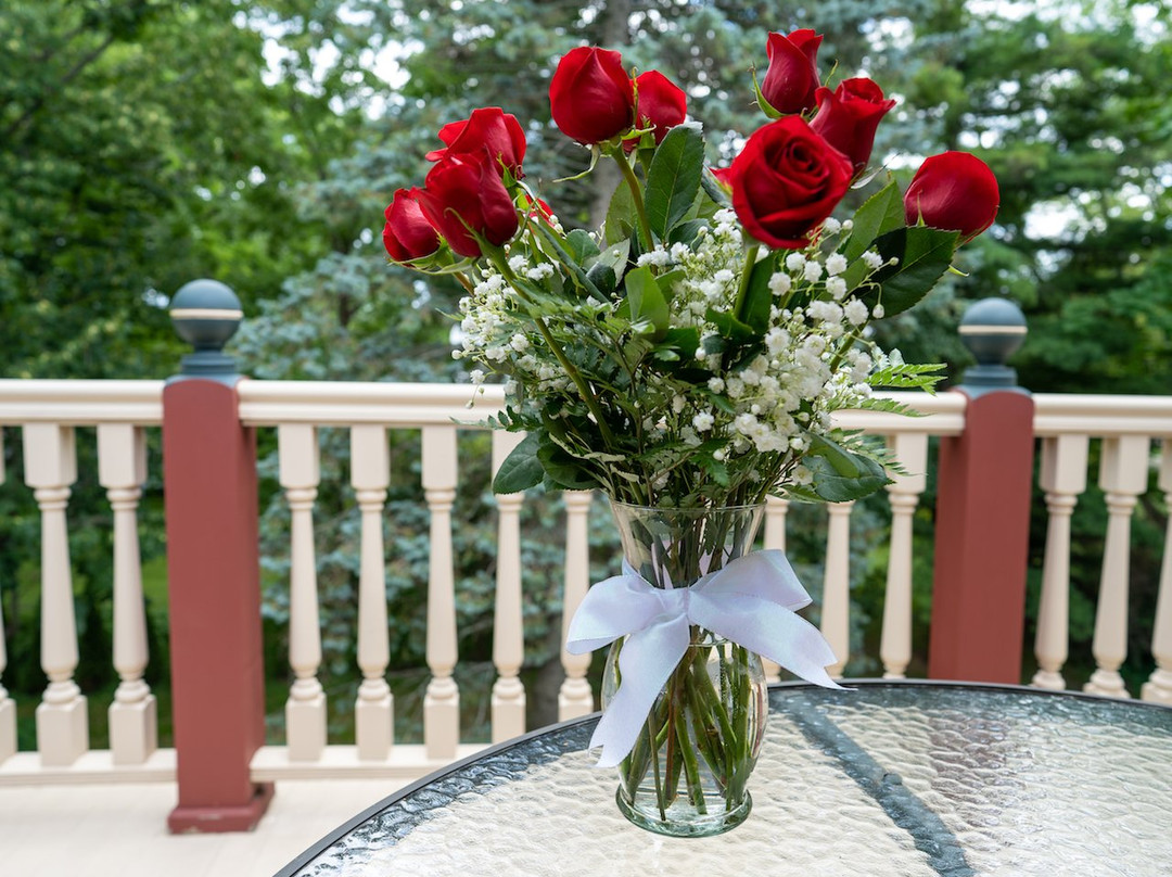 Toll House Bed And Breakfast主图