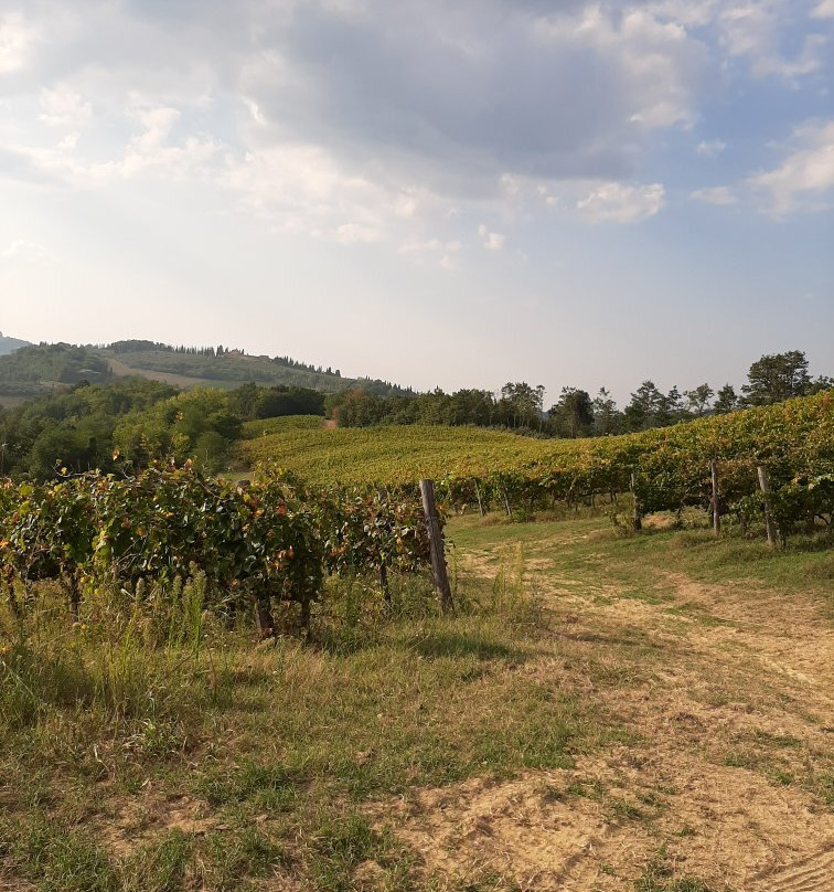 Agriturismo Croce di Bibbiano主图