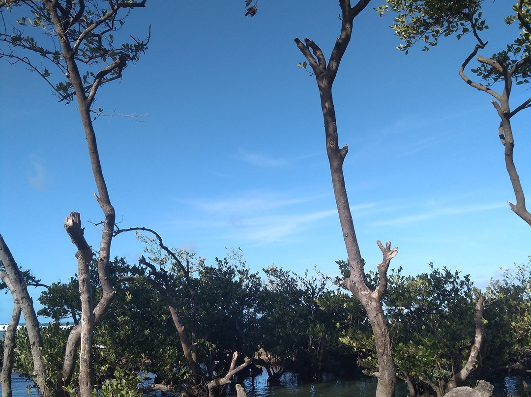 Gaibu Beach景点图片