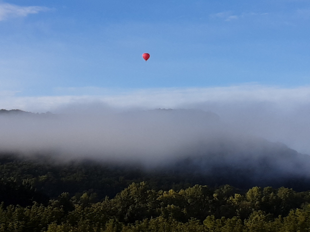 Les Hauts De Saint Vincent主图