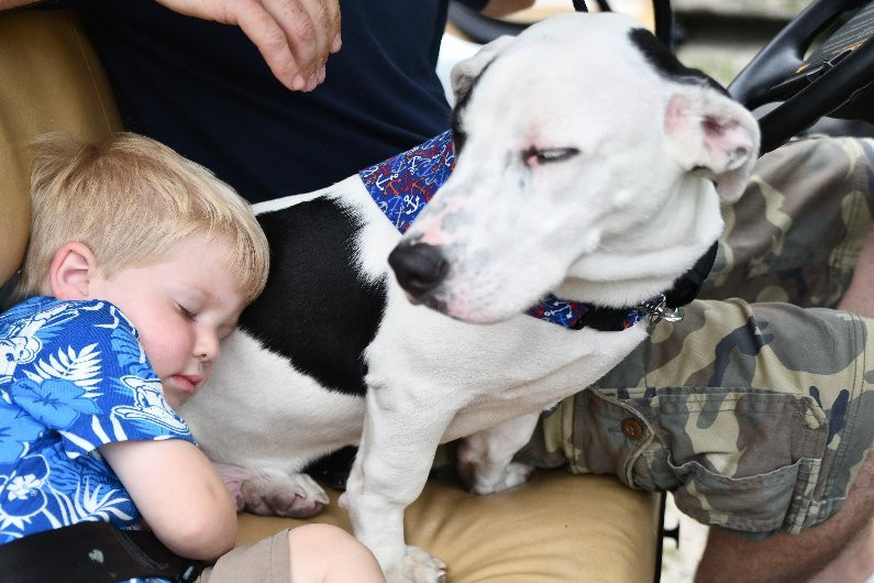 E's Put-in-Bay Golf Carts-Put in Bay必去景点