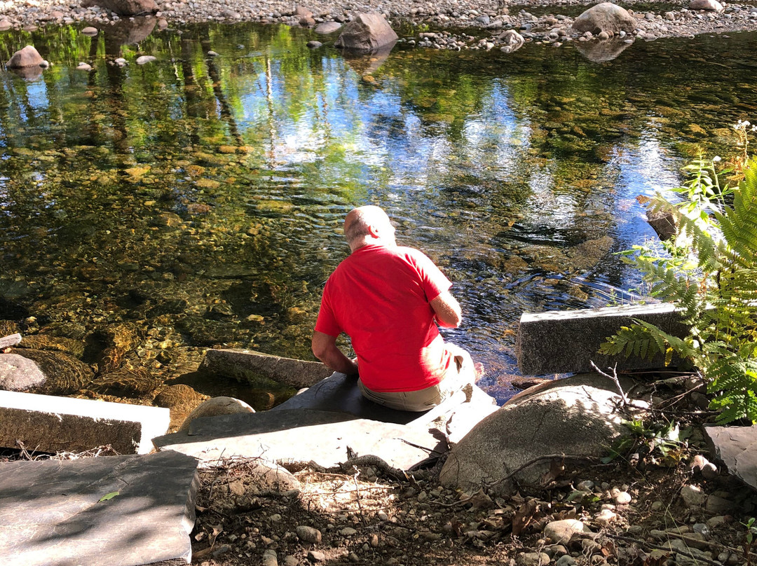 The Lodge At Jackson Village主图