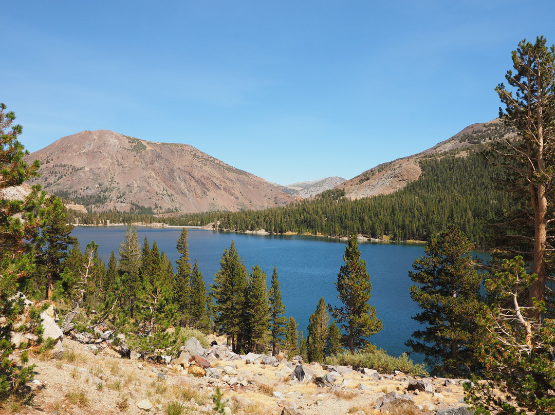 Tioga Road-利韦宁必去景点