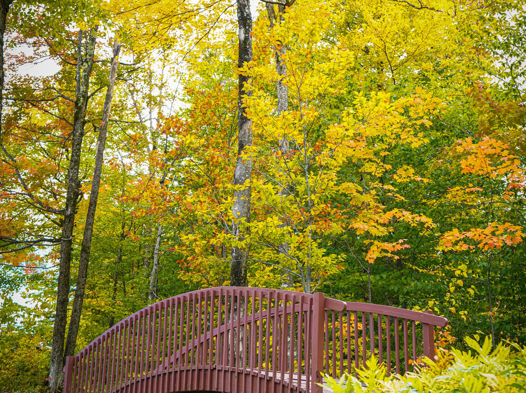 Black Bear Lodge主图