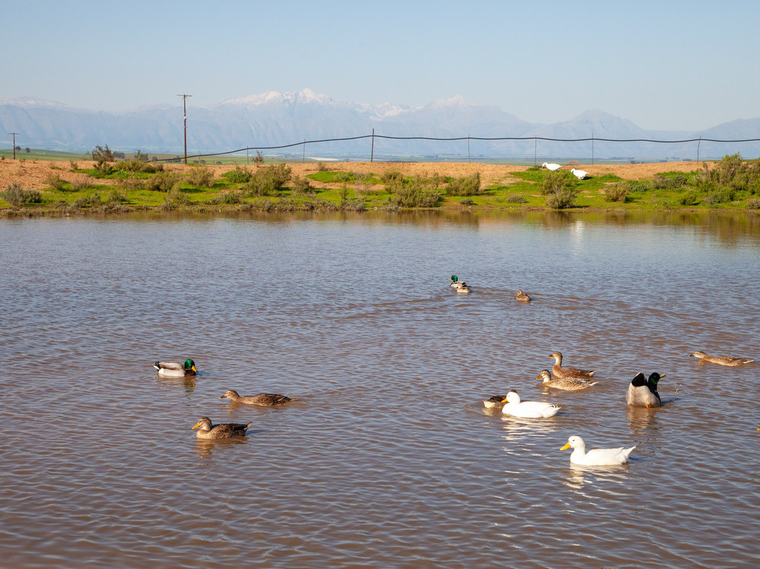 Vleidam Guest Farm主图