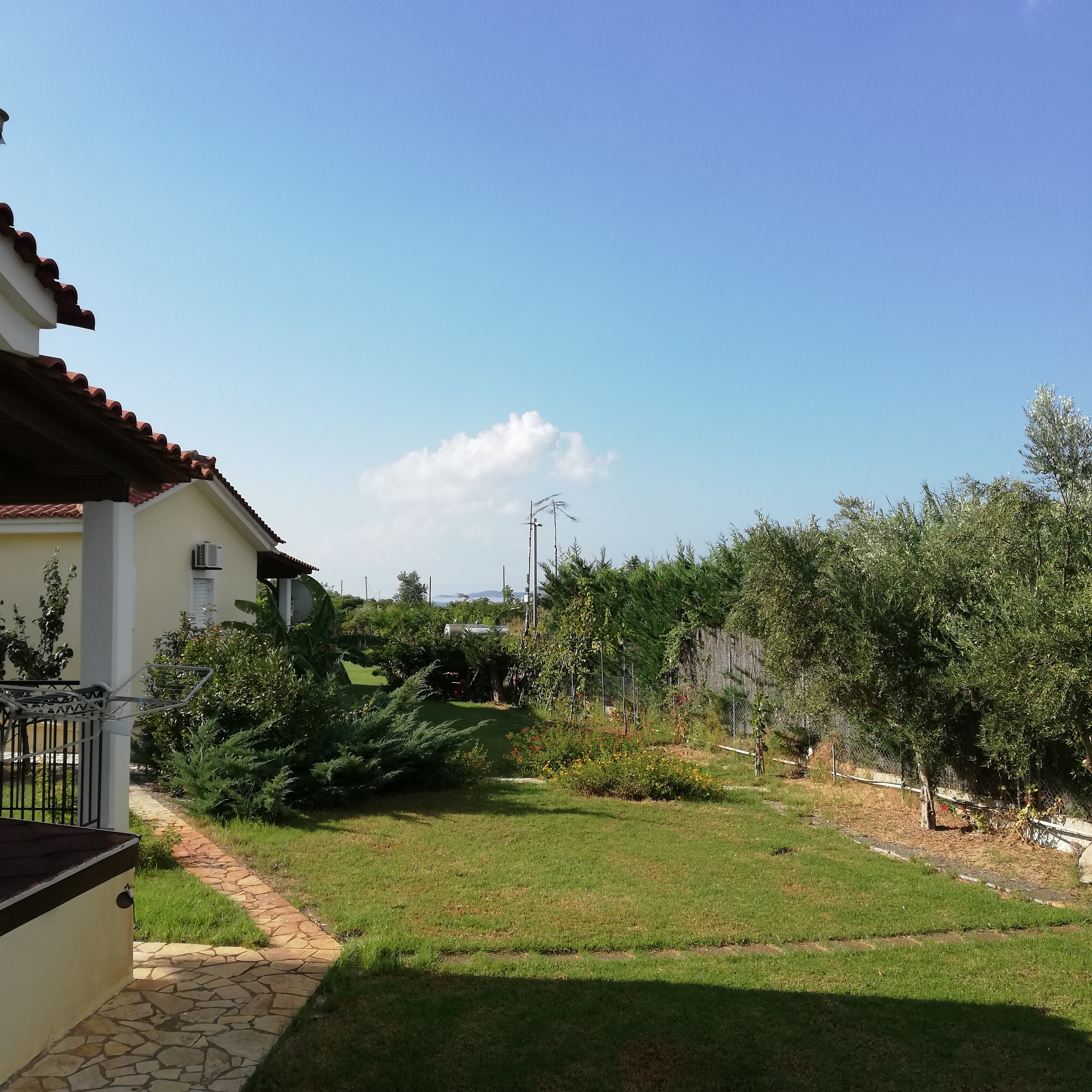 Maria Studios-官方