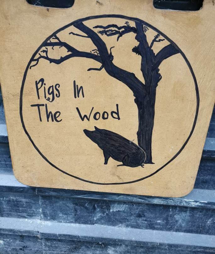 Pigs In The Wood景点图片